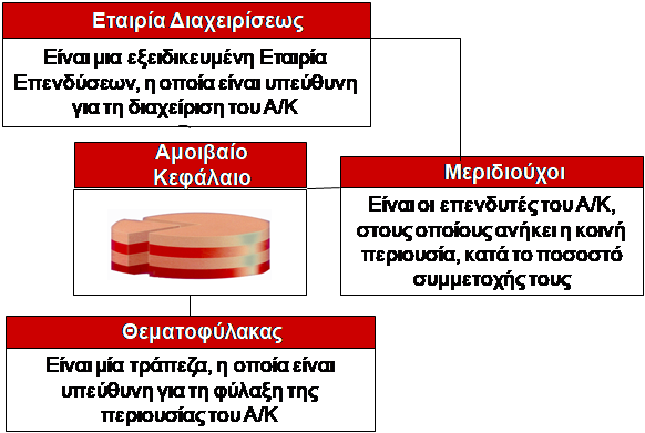 amivaio diagram